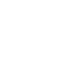 A favicon of 10Web