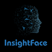 A favicon of InsightFace