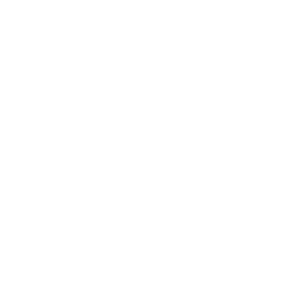 A favicon of Sturppy