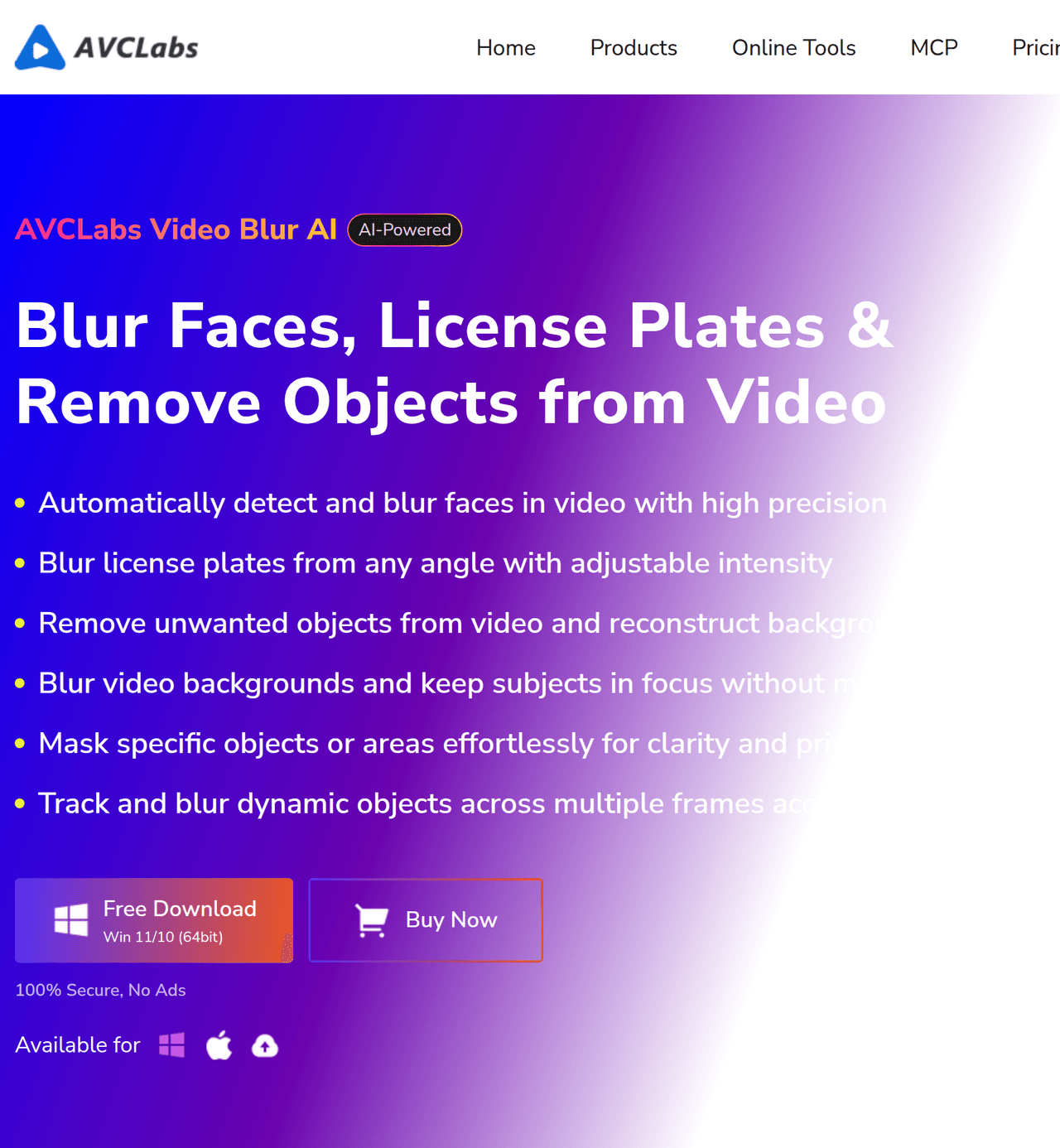 Screenshot of AVCLabs Video Blur AI