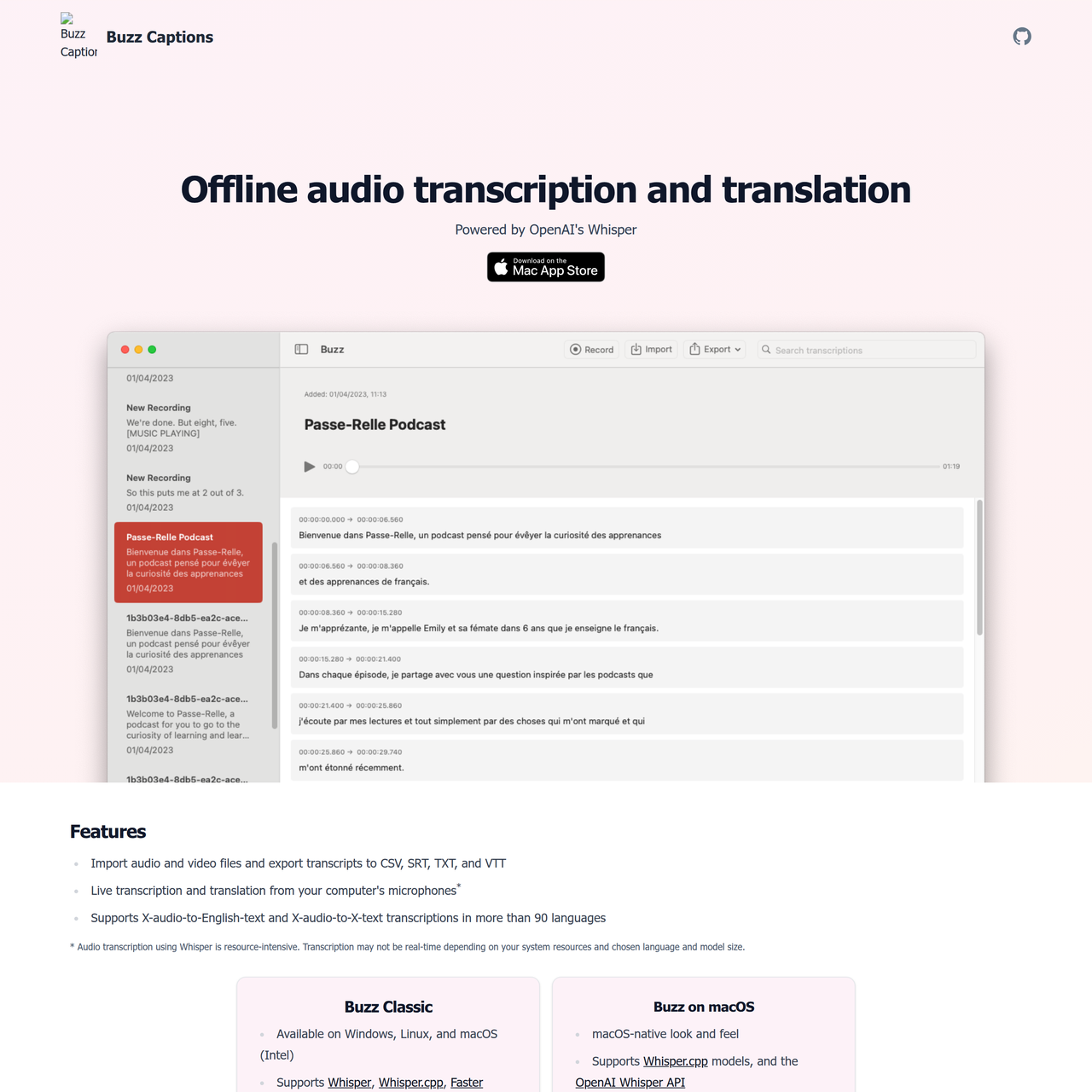 Screenshot of Buzz Captions