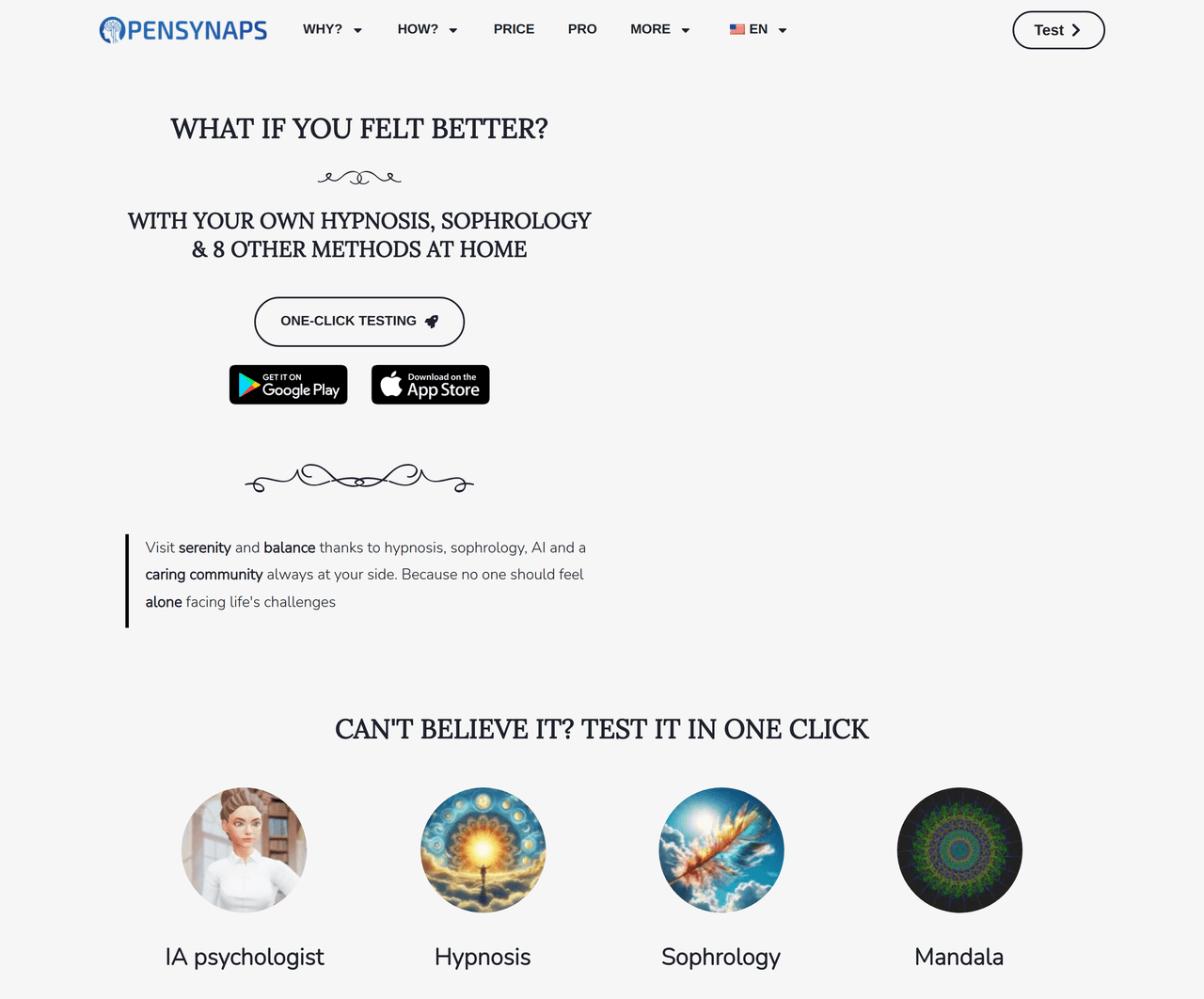Screenshot of OpenSynaps AI