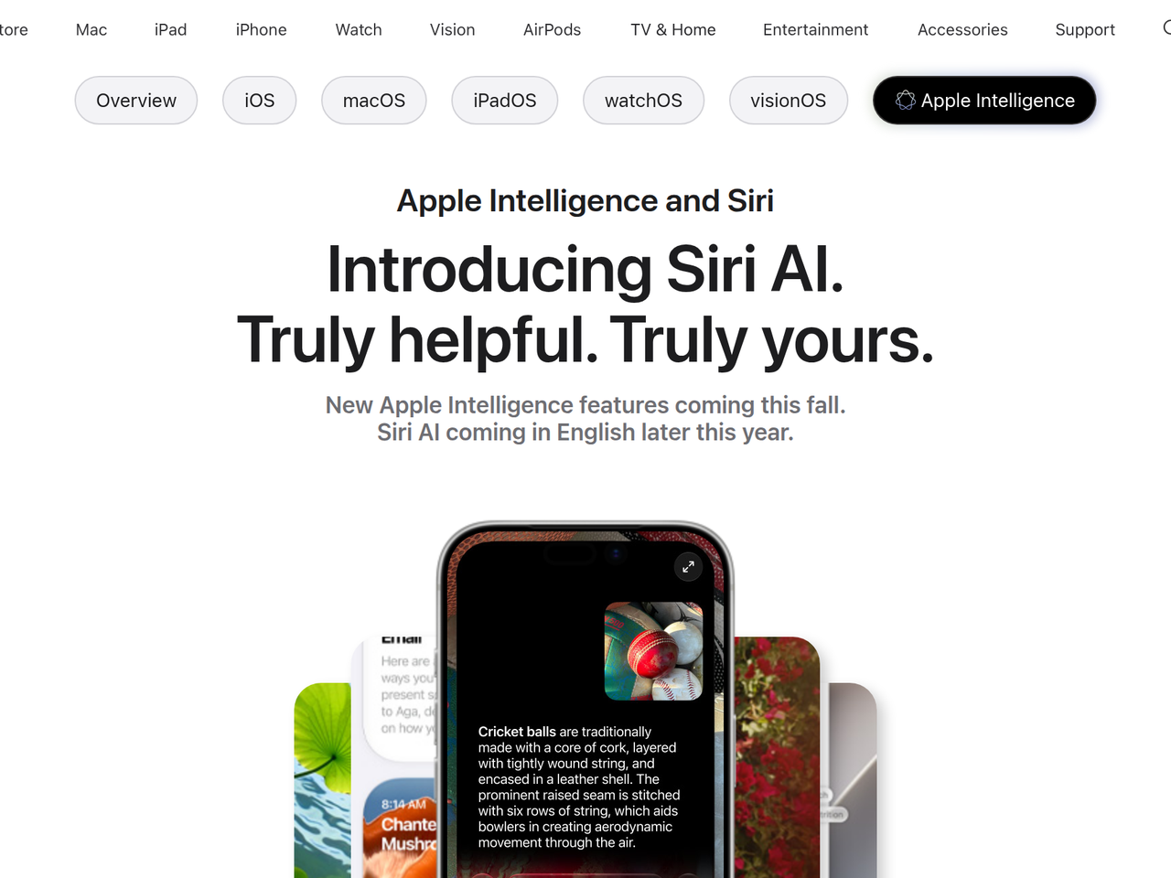Screenshot of Apple Intelligence