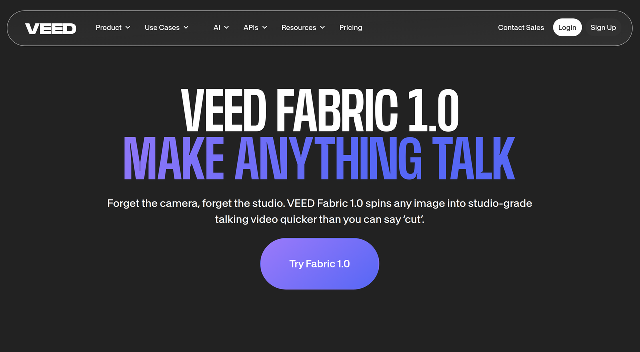 Screenshot of Fabric 1.0 by VEED