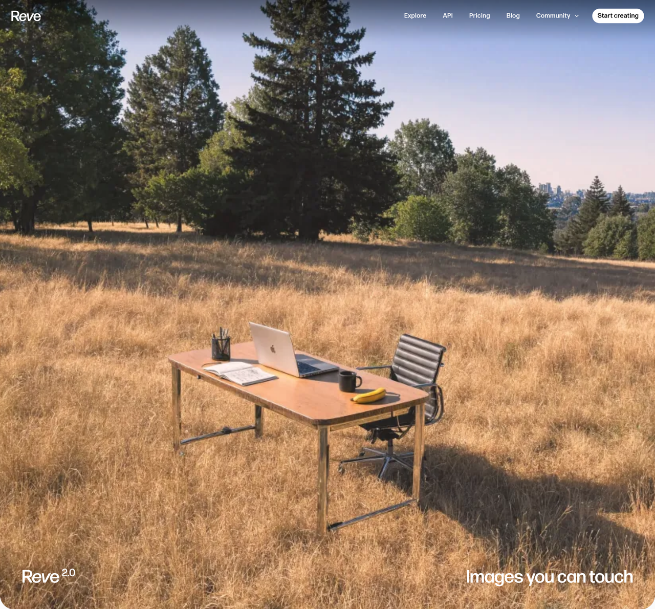 Screenshot of Reve Image